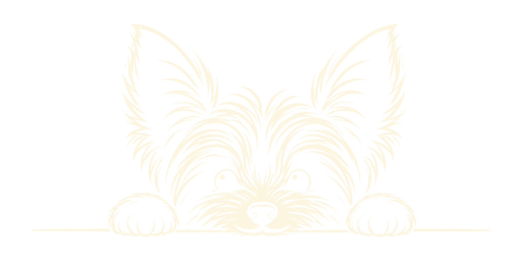 Goose, the dinner club Yorkie